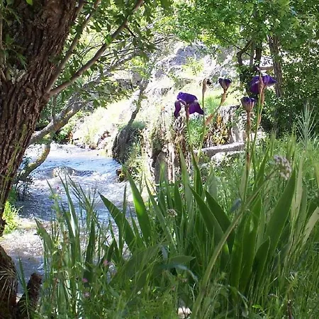 乡村民宿 Rusticae Molino De Los Gamusinos *