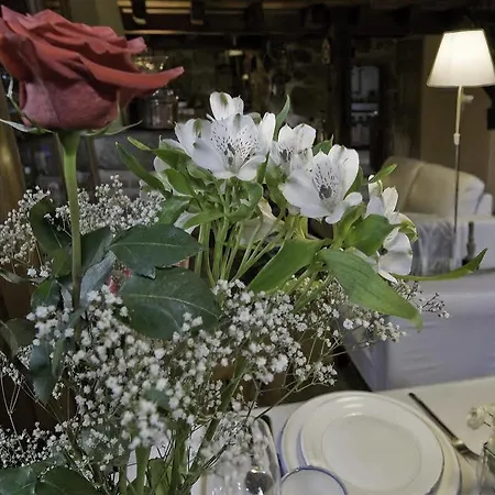 乡村民宿 Rusticae Molino De Los Gamusinos Tolbaños