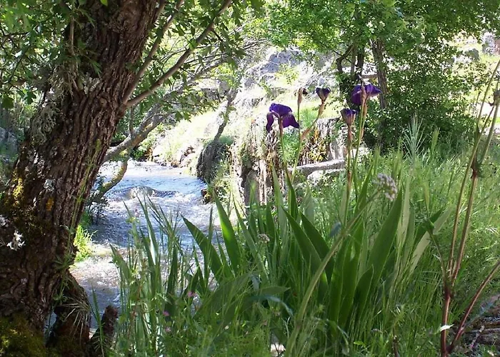 Casa di campagna Rusticae Molino De Los Gamusinos *